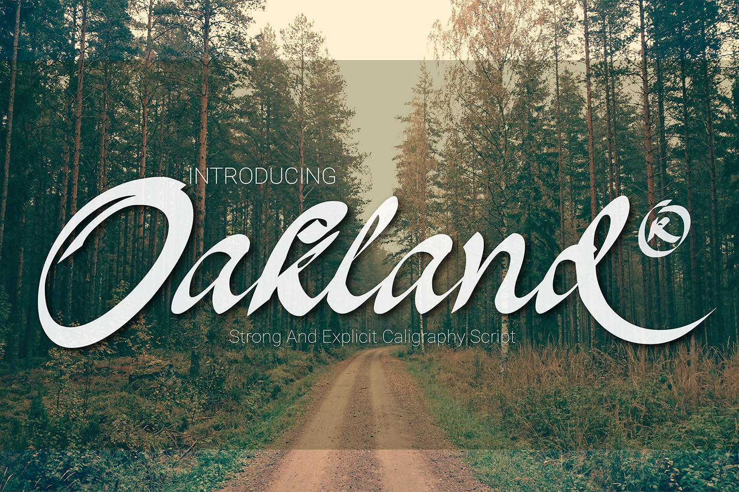 Oakland: A Modern, Painterly Calligraphy Font for Display and Branding